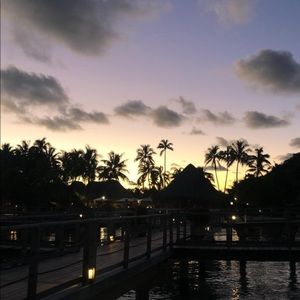 Meet your Posher, Yasmin